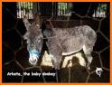 Forest Donkey Rescue related image