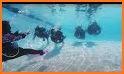 PADI Adventures: book your diving online related image