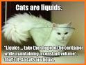 Cats are Liquid related image