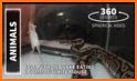 snake360 related image
