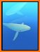 Tap Tap Fish - AbyssRium related image