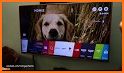 Video & TV Cast | LG Smart TV - HD Video Streaming related image