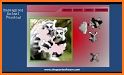 Jigsaw Puzzles Animals Classic related image