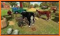 Cow Dairy Farm Manager: Village Farming Games related image