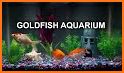 Goldfish 3D - Relaxing Aquarium Fish Tank related image