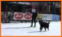 Birkie Events related image