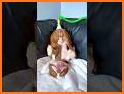 Funny Fart Sounds Prank Fun related image