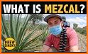 Understanding Mezcal related image