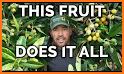 Droppy Fruits related image