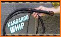 Whip related image