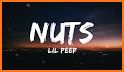 Nuts for Speed related image