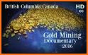 Gold Miner related image