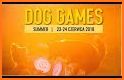 Dog Games 2018 related image