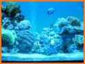 Aquarium Photo Frames related image