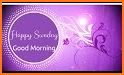 Happy Sunday: Greetings, GIF, SMS Messages related image