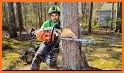 Tree Cut related image