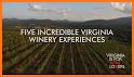 Virginia Wine related image