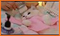 Cat Spa related image