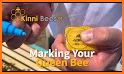 Bee Queen Detector related image