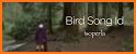 Bird Song Id USA Automatic Recognition songs calls related image