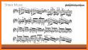 Music Sheet: view and play notes related image