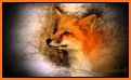 Fox HD Wallpaper related image