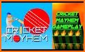 Cricket Mayhem: 2D Cricket related image