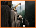 Elephant Safe Driver related image
