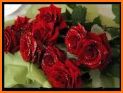 Beautiful Bouquets of Flower and Roses gif related image