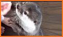 Happy Otters related image