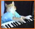 Cat Cupcake Keyboard Theme related image
