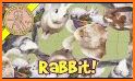 Tile Puzzles · Rabbits related image