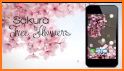 Lovely Pink Sakura Themes Live Wallpapers related image