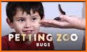 Video Touch - Bugs & Insects related image