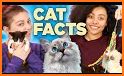 Cat Facts related image
