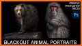 Animal Photo Frame - Animal Photo Editor related image