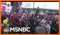 MSNBC Live on MSNBC related image