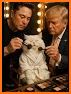 Pet Makeup Master related image