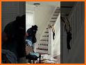 House Theft related image