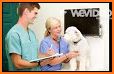 Bayview Vet related image