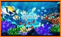 Splash: Ocean Sanctuary related image