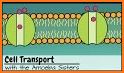 transport transform related image