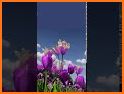 Purple Tulips Flower Garden Theme related image