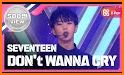 Seventeen Don't Wanna Cry related image