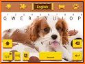 Cute Innocent Puppy Keyboard Background related image