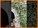 Jaśmina related image