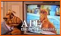 Alf – Trouble in Space related image