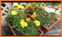 Marigold Health related image