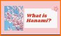 Hanami Journey related image