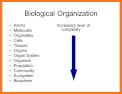 Biology 101 related image